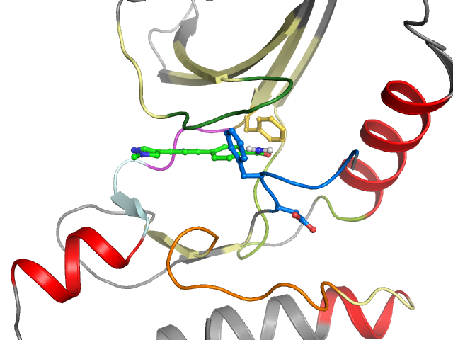 The orthosteric binding pocket