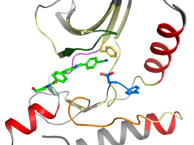 The orthosteric binding pocket