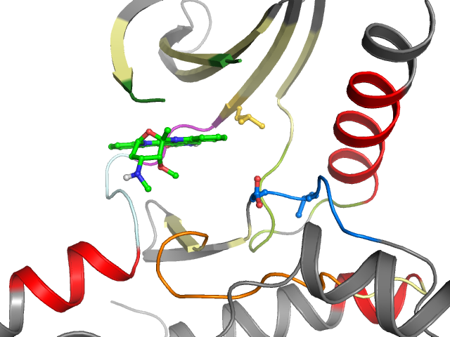The orthosteric binding pocket