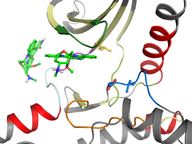 The orthosteric binding pocket