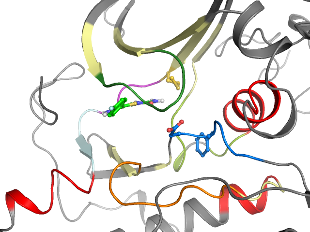 The orthosteric binding pocket