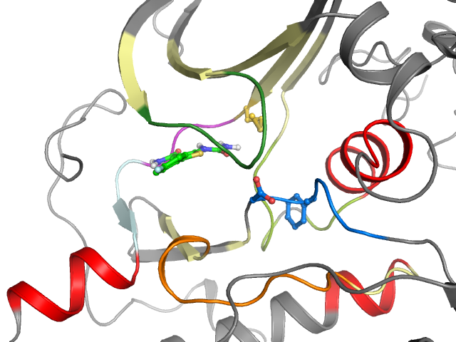 The orthosteric binding pocket