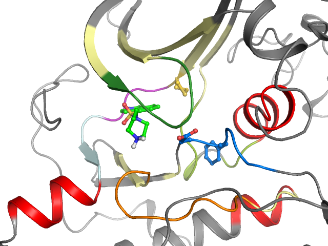 The orthosteric binding pocket