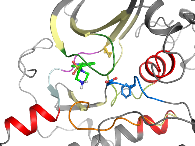 The orthosteric binding pocket