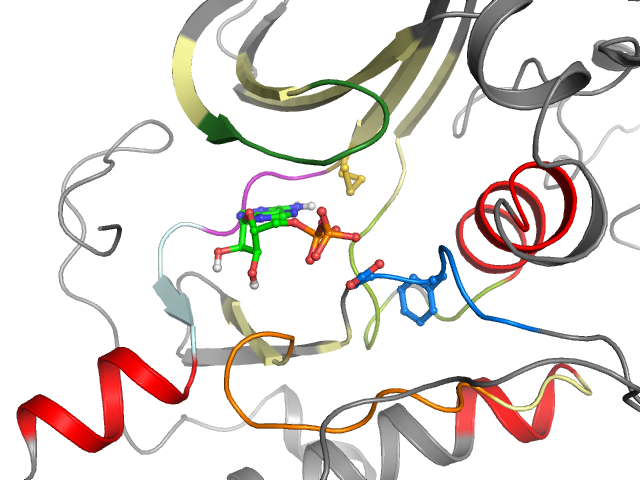 The orthosteric binding pocket