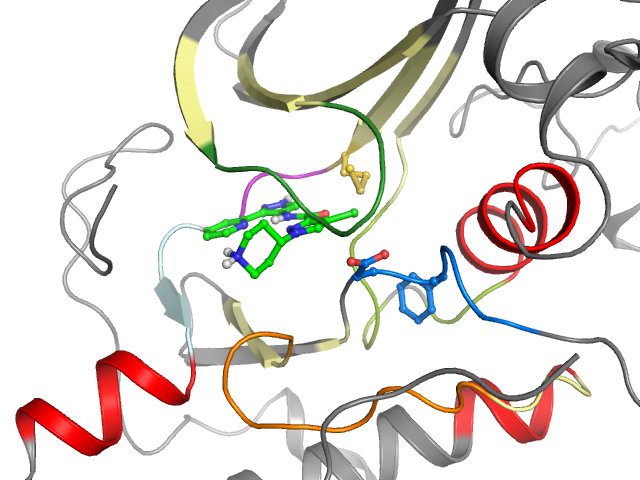 The orthosteric binding pocket
