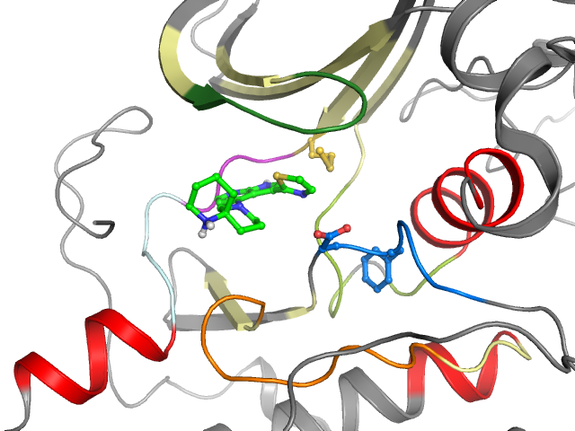 The orthosteric binding pocket