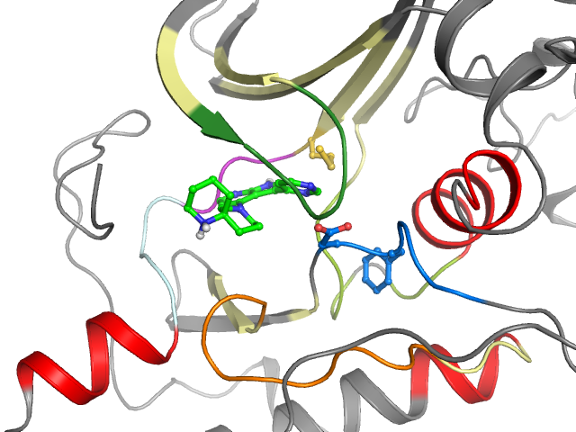 The orthosteric binding pocket
