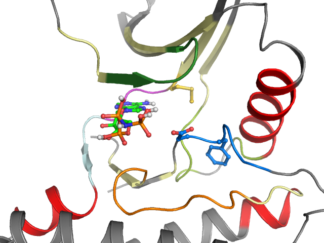 The orthosteric binding pocket
