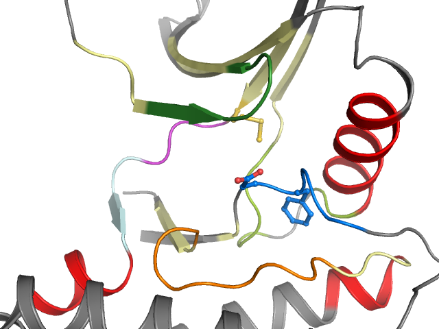 The orthosteric binding pocket