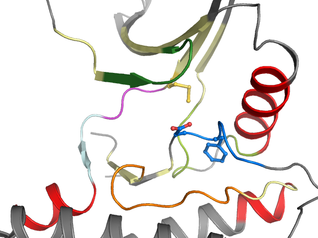 The orthosteric binding pocket