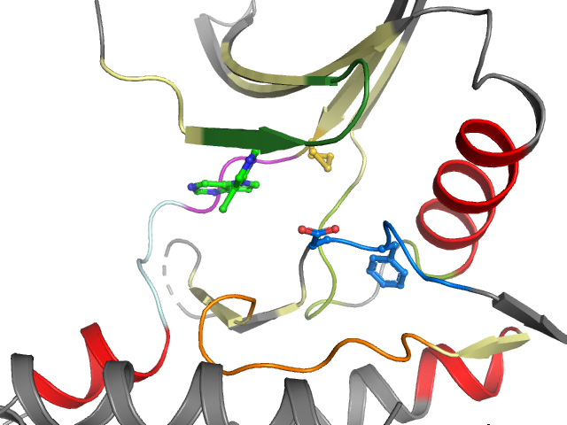 The orthosteric binding pocket