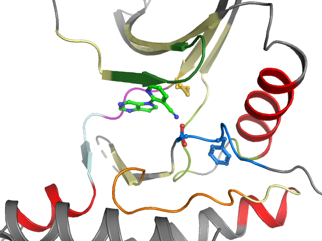 The orthosteric binding pocket