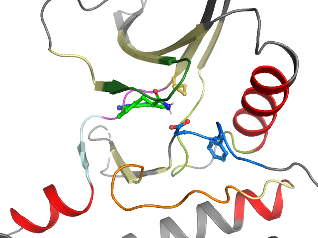 The orthosteric binding pocket