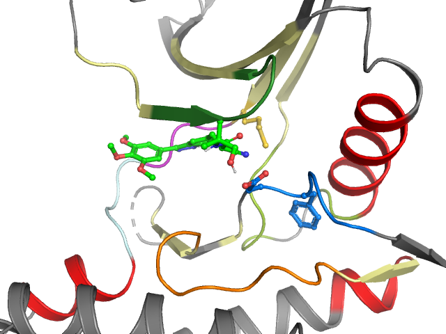 The orthosteric binding pocket