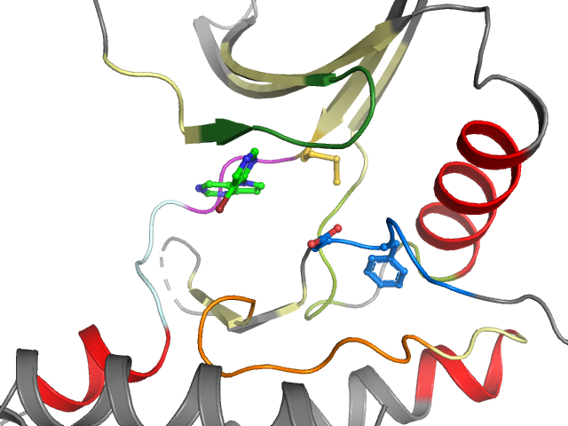 The orthosteric binding pocket