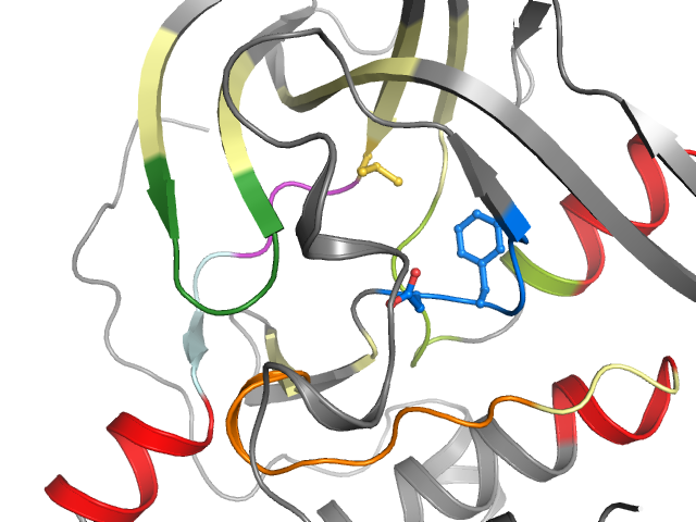 The orthosteric binding pocket