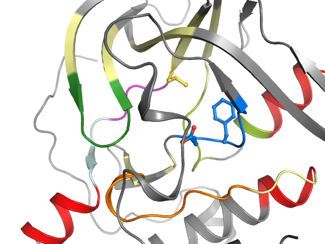 The orthosteric binding pocket
