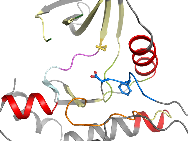 The orthosteric binding pocket