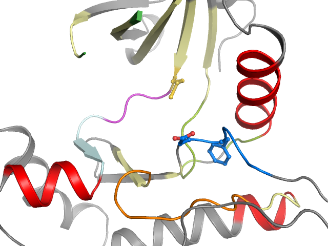 The orthosteric binding pocket
