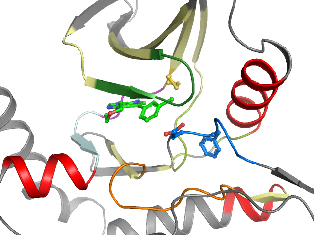The orthosteric binding pocket
