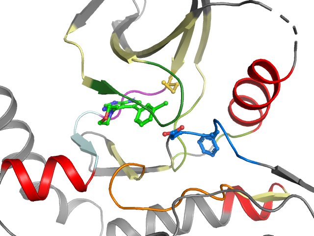 The orthosteric binding pocket