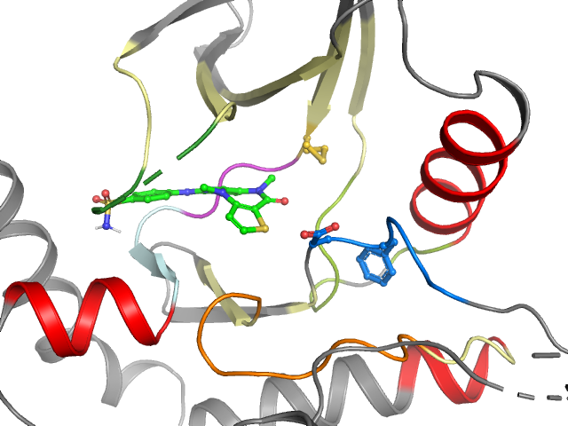 The orthosteric binding pocket