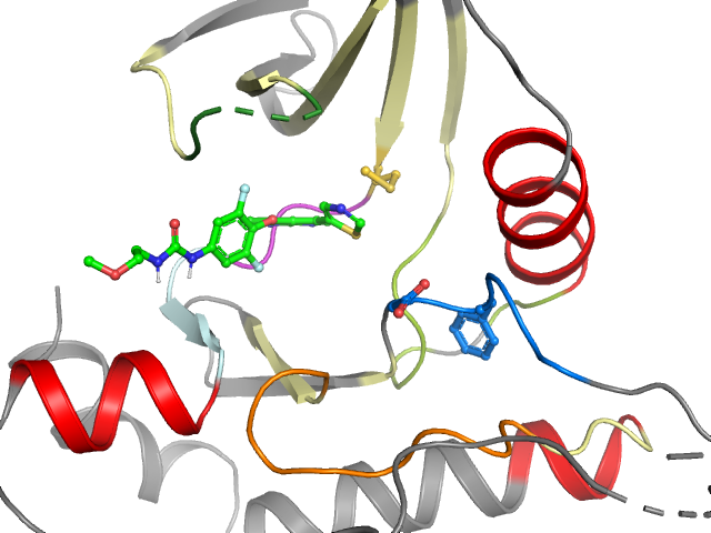 The orthosteric binding pocket
