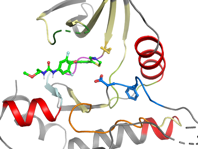 The orthosteric binding pocket