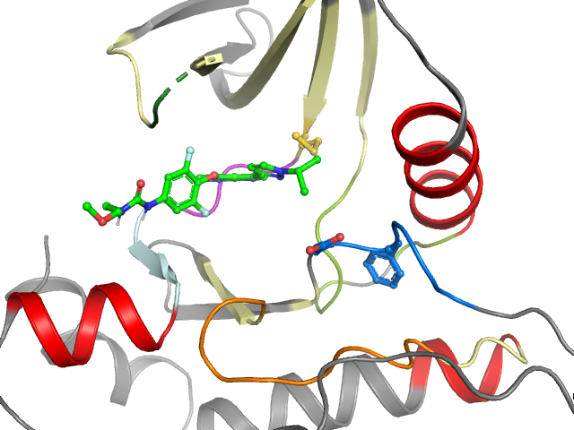 The orthosteric binding pocket