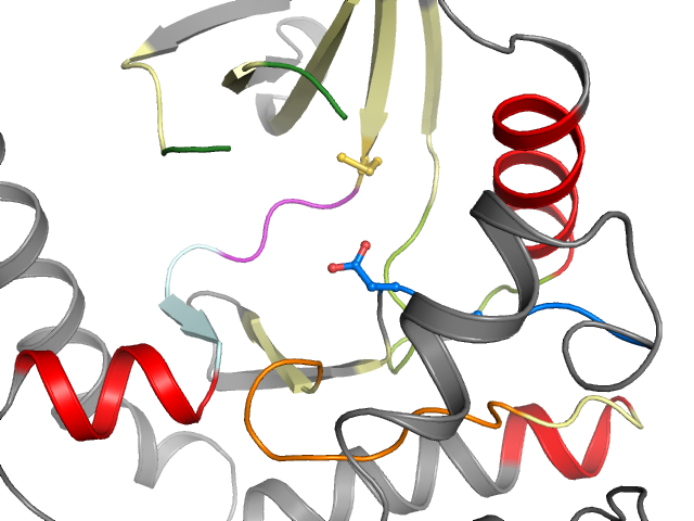 The orthosteric binding pocket