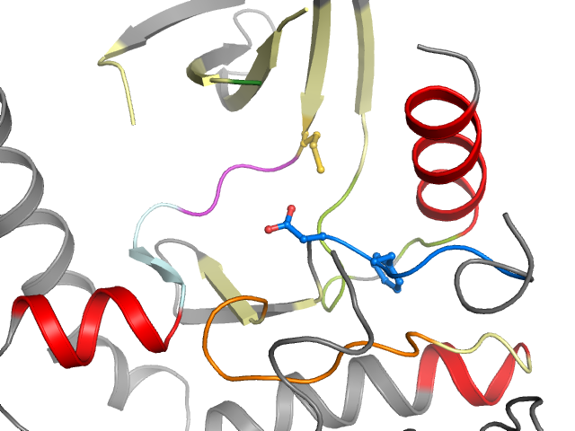 The orthosteric binding pocket