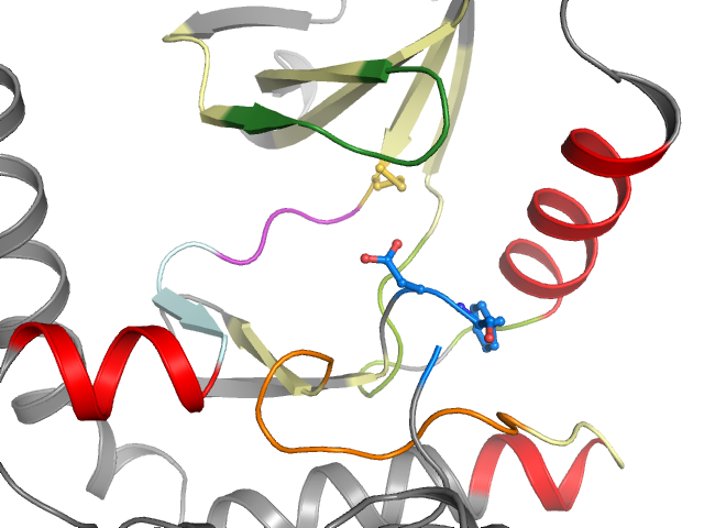 The orthosteric binding pocket