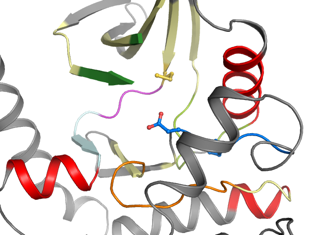The orthosteric binding pocket