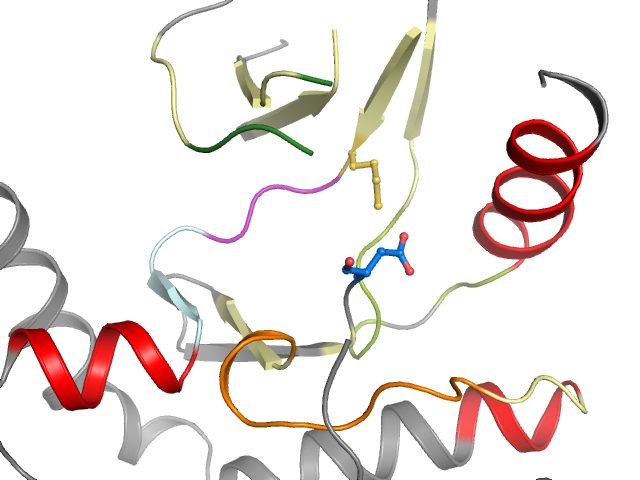 The orthosteric binding pocket
