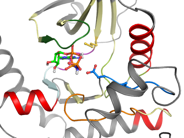 The orthosteric binding pocket