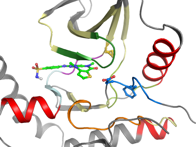 The orthosteric binding pocket