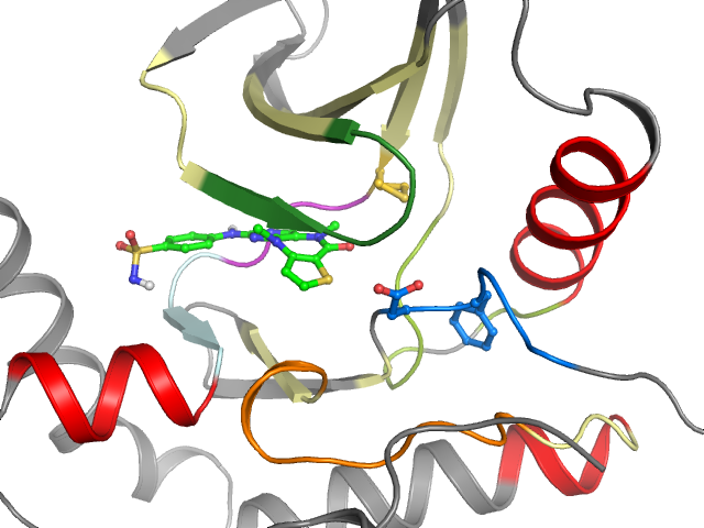 The orthosteric binding pocket
