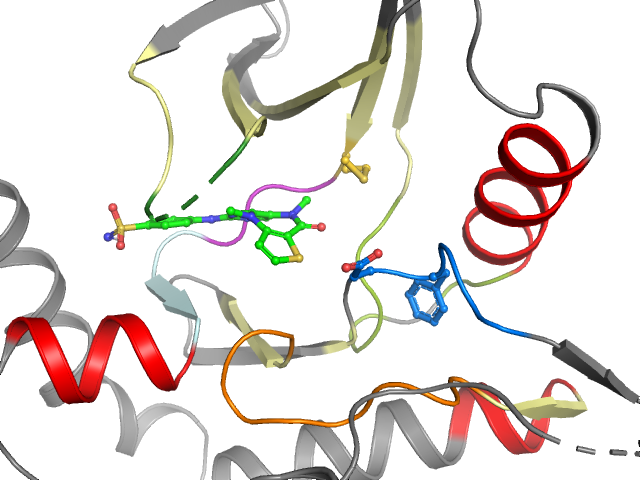 The orthosteric binding pocket