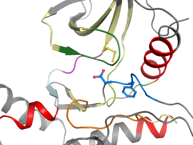 The orthosteric binding pocket