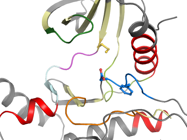 The orthosteric binding pocket