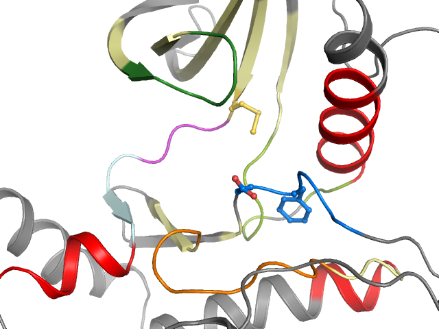 The orthosteric binding pocket