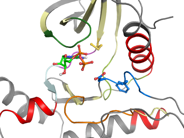 The orthosteric binding pocket