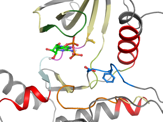 The orthosteric binding pocket