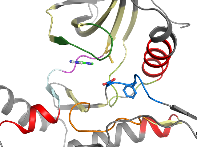 The orthosteric binding pocket