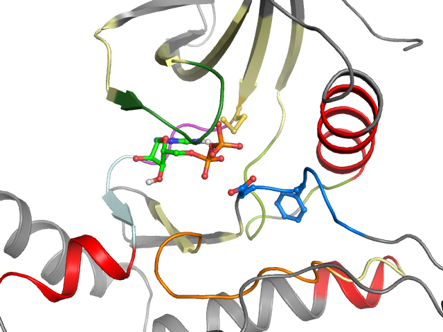 The orthosteric binding pocket
