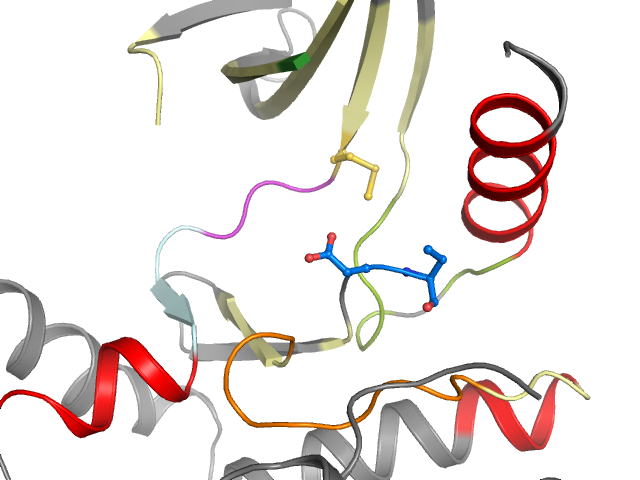 The orthosteric binding pocket
