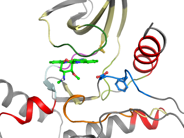 The orthosteric binding pocket