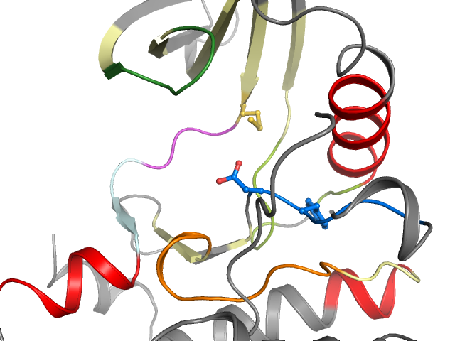 The orthosteric binding pocket
