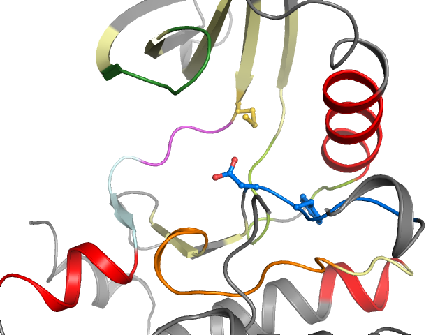 The orthosteric binding pocket